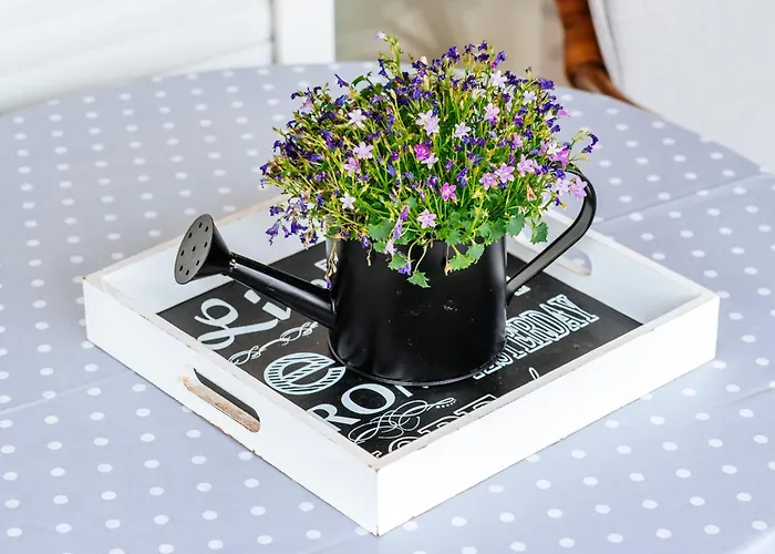 Vista - With Free Parking Zadar