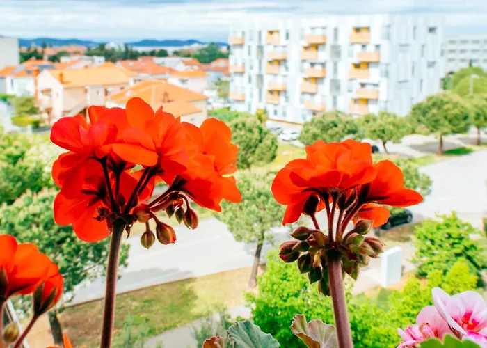 Vista - With Free Parking