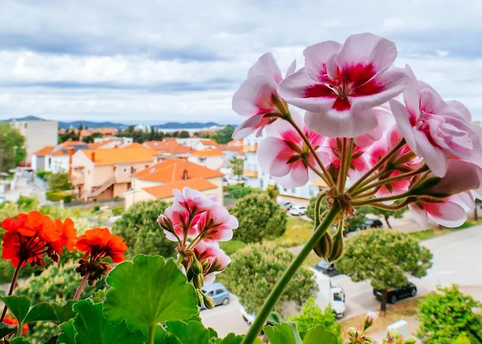 Vista - With Free Parking Appartement